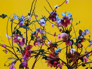 In Bloom