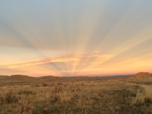 That land that I live in