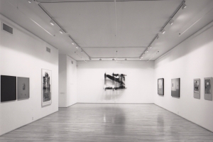 Taking The Picture: Photography and Appropriation