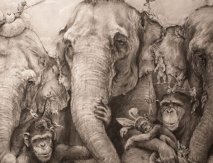 Adonna Khare at Crystal Bridges Museum of American Art