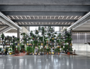 Rashid Johnson