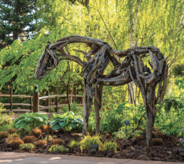 Deborah Butterfield at the Denver Botanic Gardens