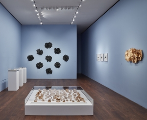 Installation view of Eva Hesse Hannah Wilke Erotic Abstraction