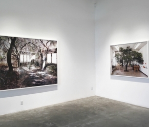 Chris Engman