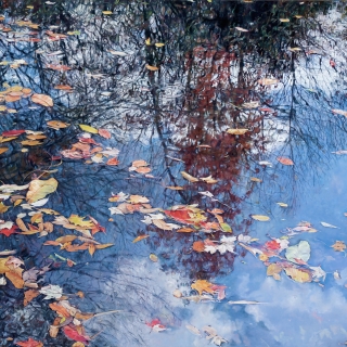 Ronna S. Harris