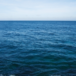1,305 Millas: Atemporal / 1,305 Miles: Atemporal | Curated by Solveig Font
