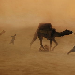 Steve McCurry