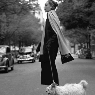 Georges Dambier
