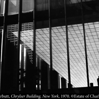 UNSEEN: Silhouettes and Shadows