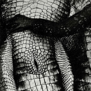 Debbie Fleming Caffery