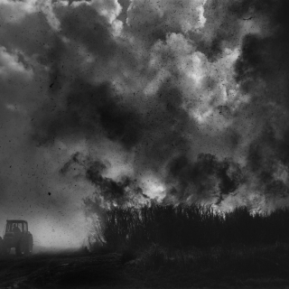 Debbie Fleming Caffery