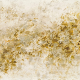 Betsy Eby