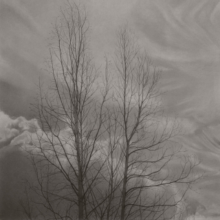 MARY REILLY