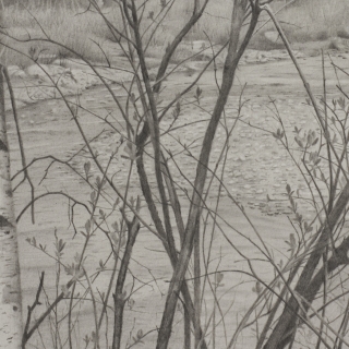 Mary Reilly: New Drawings