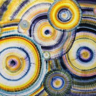 Danielle Riede: Holding the Sun