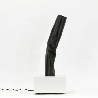 Jennifer Marman and Daniel Borins