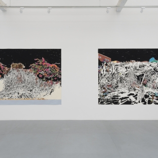 Francesca Gabbiani "Vague Terrains/Urban Fuckups"