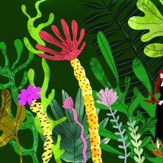 THE SECRET LIFE OF PLANTS