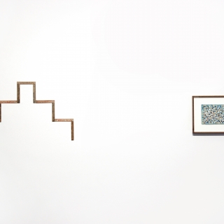 Radical Drawings