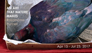 AN EXHIBIT OF PHOTOGRAPHS FROM "AN ART THAT NATURE MAKES"