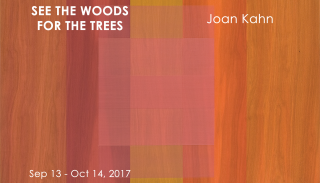 SEE THE WOODS FOR THE TREES