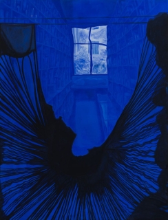Stéphane Belzère l MAMCS l Strasbourg