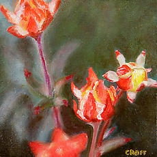 Frank Croft