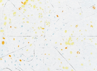 SP-Arte