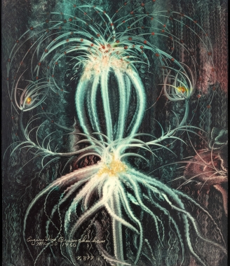 OAF Curated Space | Relishing the Raw: Contemporary Artists Collecting Outsider Art