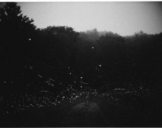 Gregory Crewdson