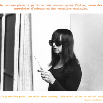 Shirley Goldfarb: Paintings in Paris
