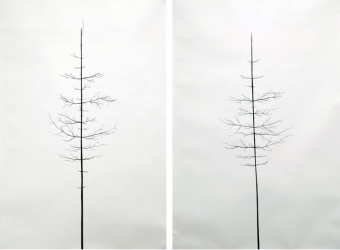 Peter Liversidge