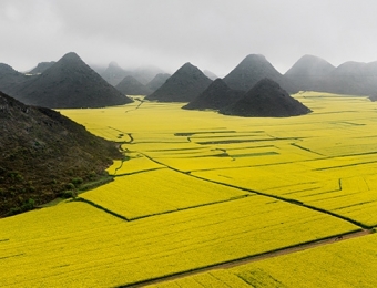 Edward Burtynsky