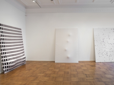 Jarbas Lopes: A Line Installation View