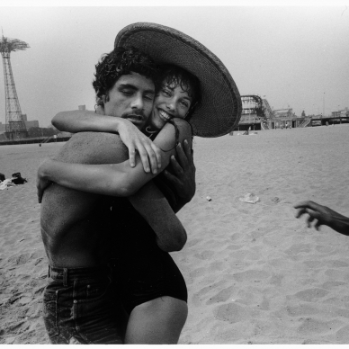 HARVEY STEIN