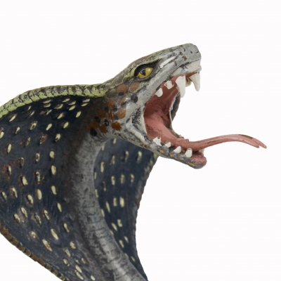 King Cobra Pocket Watch Holder