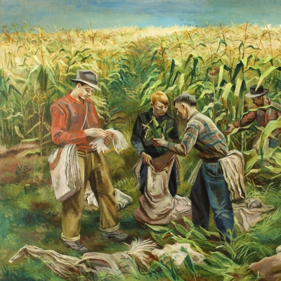Joe Jones (1909–1963), Cornfield, 1941, oil on canvas, 30 1/8 x 40 1/8 in. (detail)