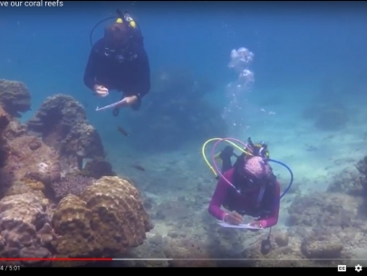 Technology Can Help Pick Up the Pace to Protect Coral Reefs