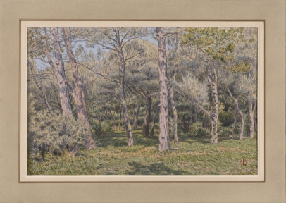 Morgan, Le Bois de Pins