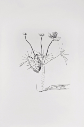 Andy Warhol, Flowers