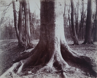 Atget, Eugène