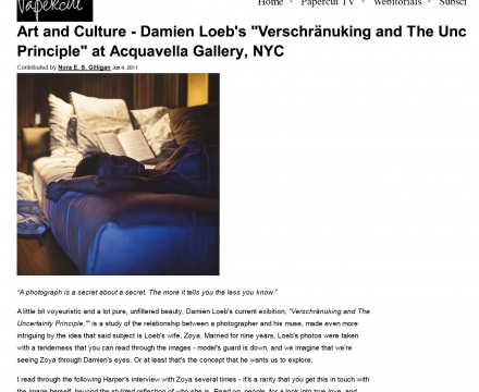 Photograph of "Art and Culture - Damian Loeb"
