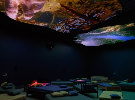 Ragnar Kjartansson and Pipilotti Rist in "Strange Days: Memories of the Future"
