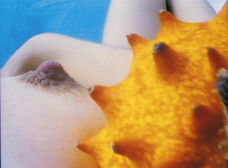Pipilotti Rist screening as part of "Feminism(s)" a collaboration between the ICP and Anthology Film Archives