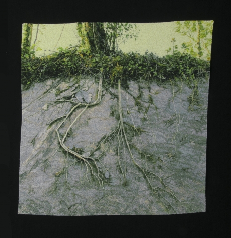 Roots on Stone