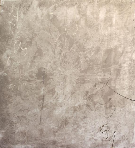  , White Chrysanthemum, 2010
