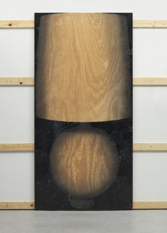 Available Light, 2014