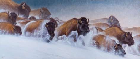 Cold Air - Deep Powder, 2012