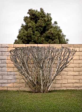 Brad Moore