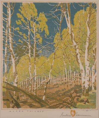Aspen Thicket
